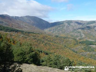 excursiones montaña madrid, Parque Natural del Hayedo de Tejera Negra; senderismo comunidad de madr